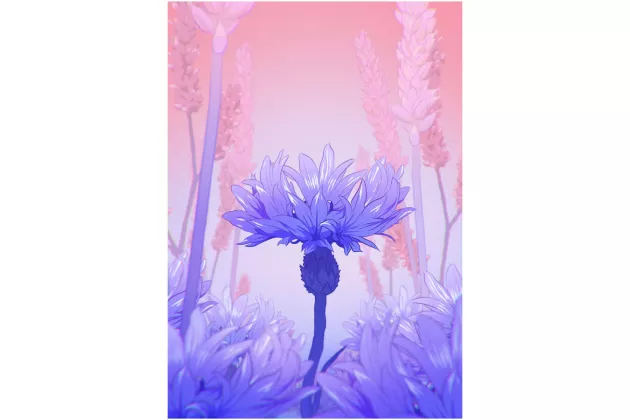 A purple flower on a pink and purple background. Illustration.