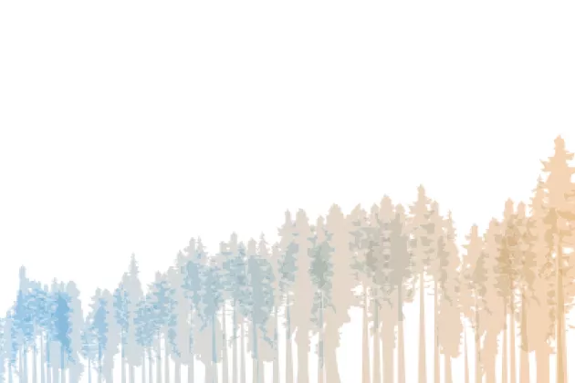 Trädsilhuetter i olika nyanser. Illustration.