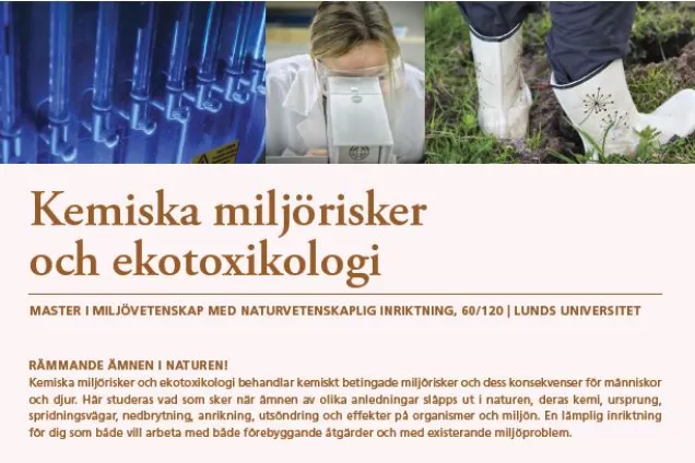 Informationsblad om Naturvetenskaplig inriktning, Ekotoxikologi. Foto.