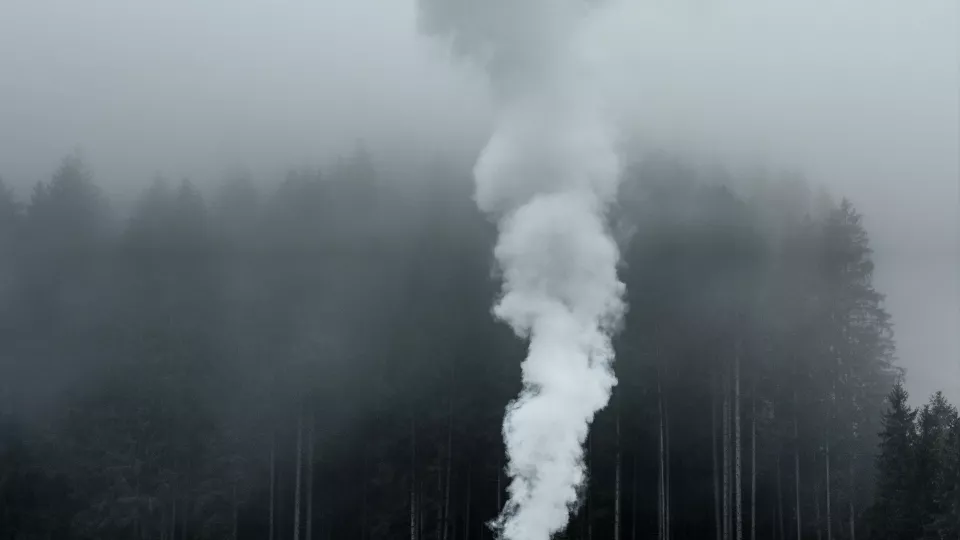 Smoke pillar in front of cloudy forest. Photo.
