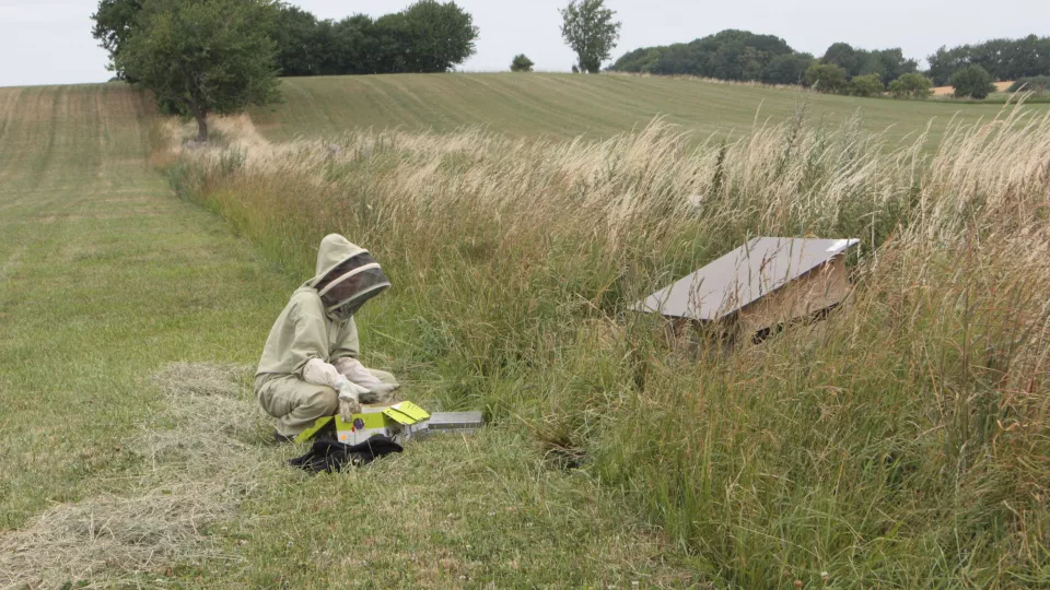 Researcher doing fieldwork wearing protective clothing. Photo.