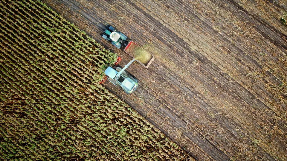Drone image of harvester and tractor. Photo.
