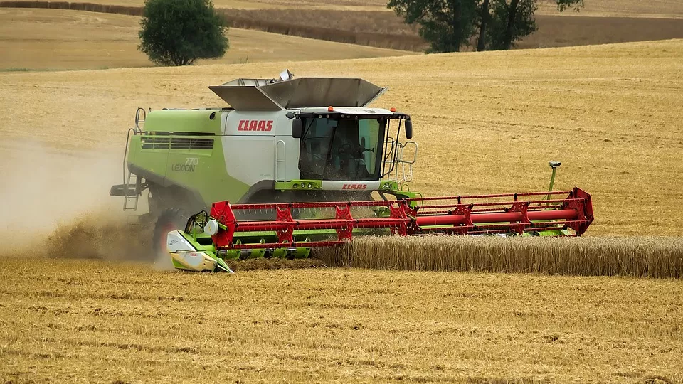 Combine harvester in a field. Photo.