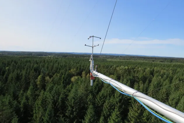 ICOS station and forest. Photo. 