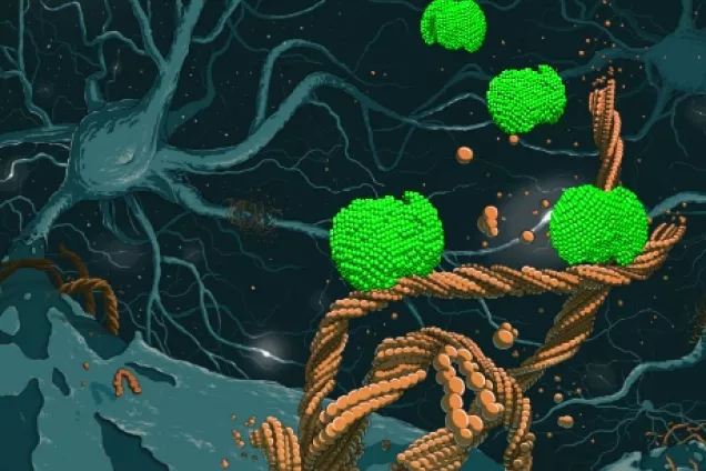  Illustration of nanoparticles delivering drugs to nerve cells.