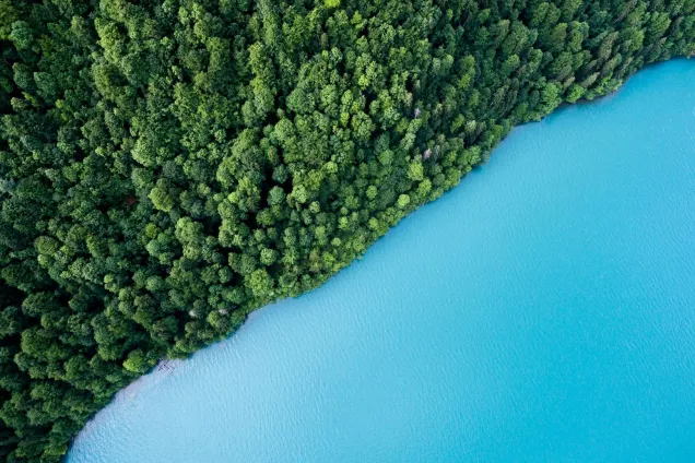 Forest and ocean photographed from above.