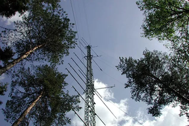 The ICOS tower in Norunda. Photo.