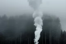 Smoke pillar in front of cloudy forest. Photo.