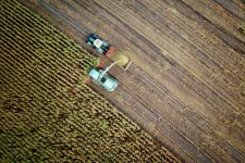Drone image of harvester and tractor. Photo.