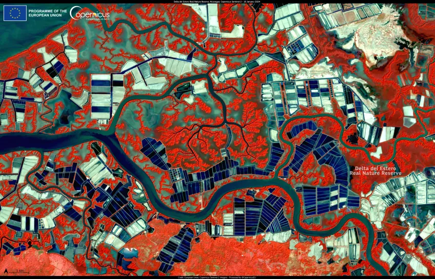 Satelite image of the Delta del Estero Real, Nicaragua, Credit: European Union, Copernicus Sentinel-2 imagery