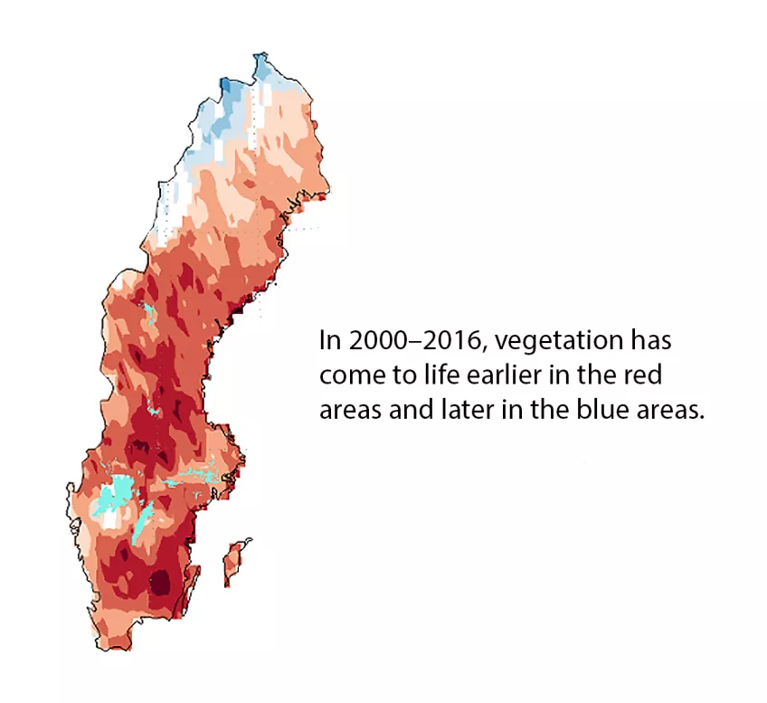 Map of Sweden. In 2000–2016, vegetation has come to life earlier in the red areas and later in the blue areas.