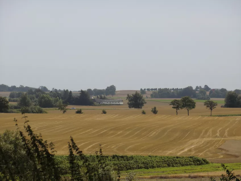 Farmland in Skåne. Photo.