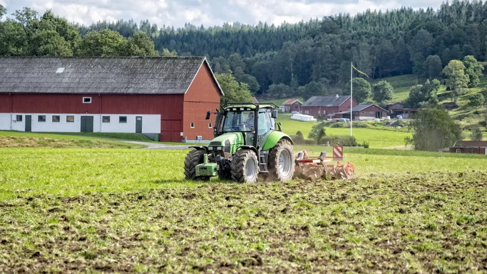 Traktor med tallriksredskap på fält utanför lantbruksfastighet. Foto.