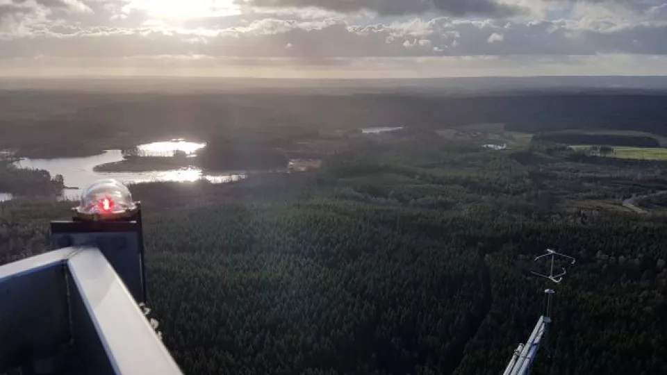 Utsikt över skogs- och sjölandskap från ett torn. Foto.