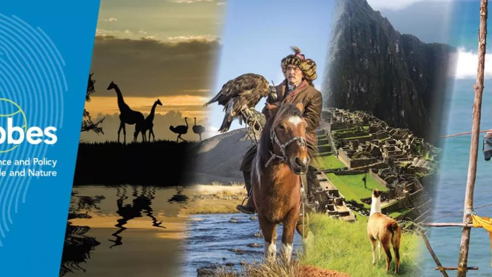 Fotocollage som visar natur och vilda djur från olika delar av världen.