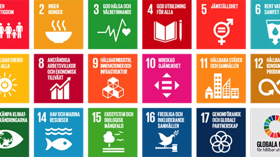 Symboler för FN:s globala mål för hållbar utveckling. Illustrationer.