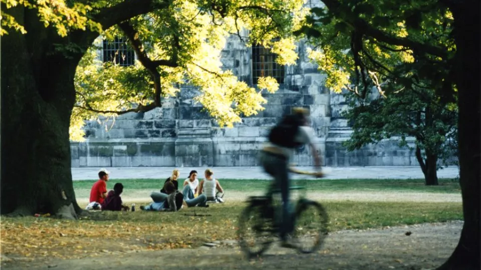 Några personer sitter under ett träd med Lunds domkyrka i bakgrunden. Foto.