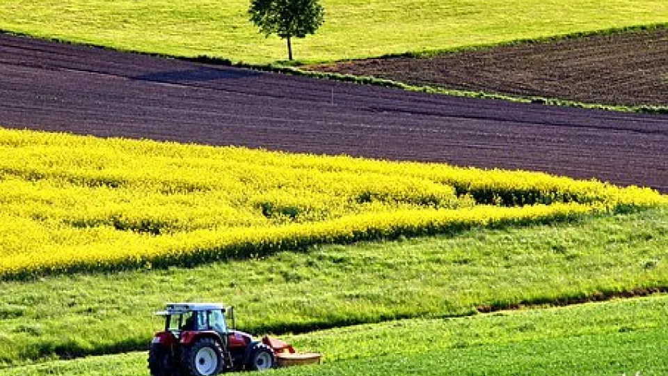 Traktor i odlingslandskap. Foto.
