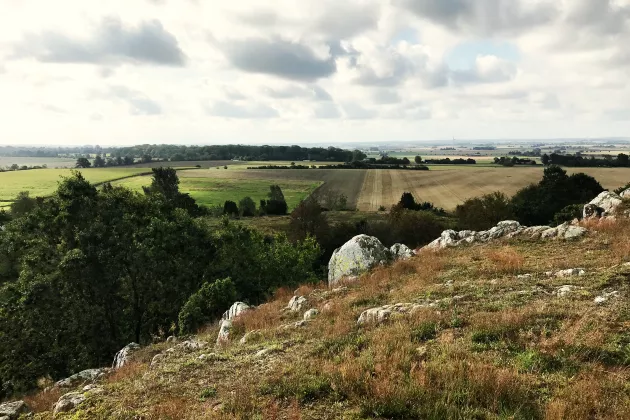 Funktionella landskap_Therese Ek.png Landskapsbild med skog i förgrunden och jordbruk i bakgrunden