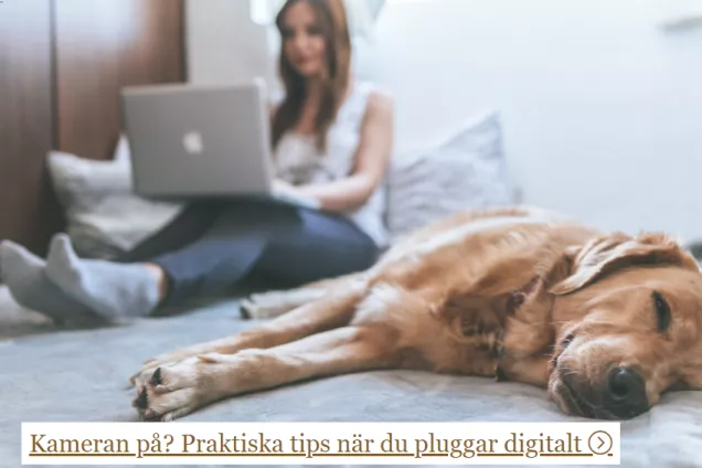 Sittande flicka med dator i knät med liggande hund bredvid sig. Foto.