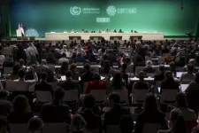 COP 28-deltagare i ett stort konferensrum. Foto.