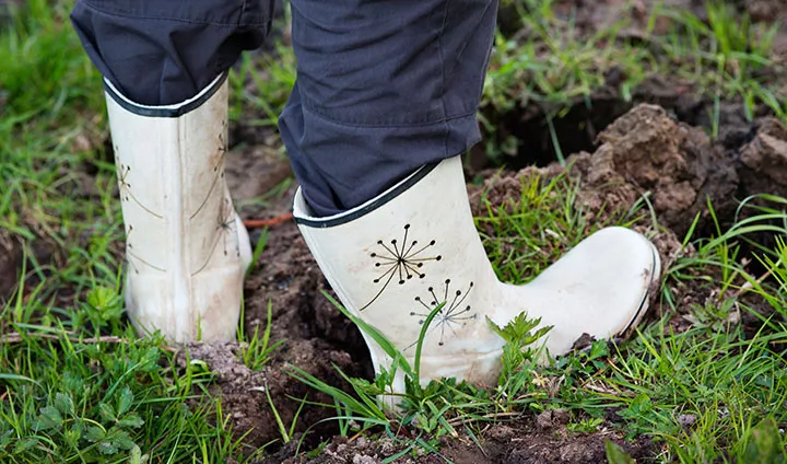 En person står i gräs och lera, enast underbenen med gummistövlar syns. Foto: LU bildbank.